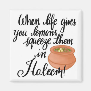 Haleem Magnet