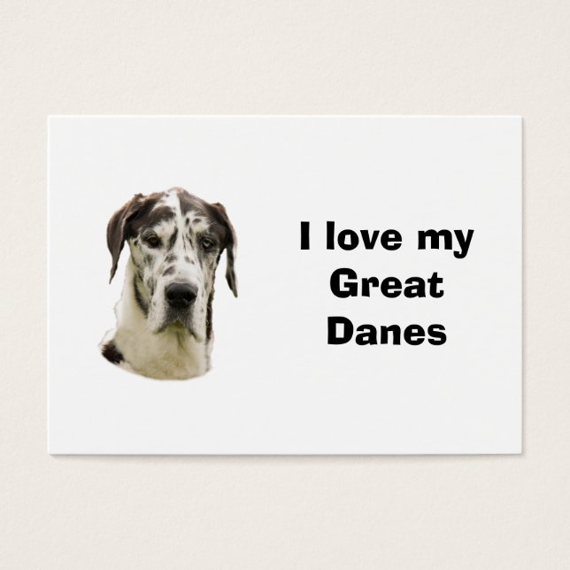 Halequin Great Dane pet photo (Front)