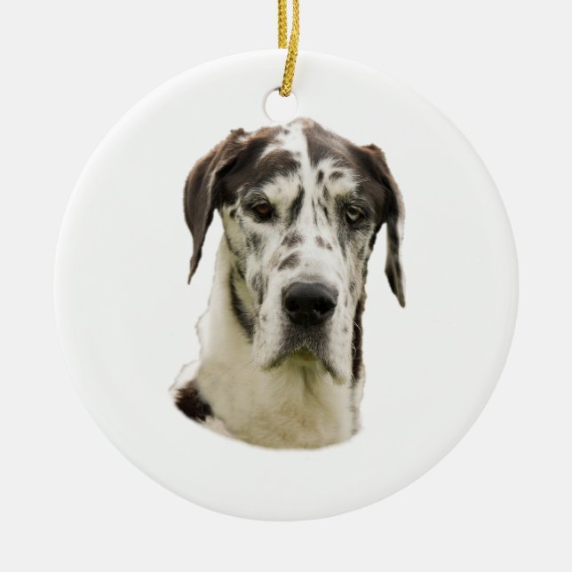 Halequin Great Dane portrait photo Ceramic Ornament (Front)