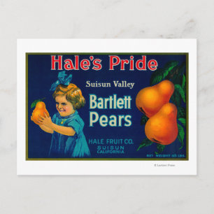 Hale's Pride Pear Crate LabelSuisun, CA Postcard