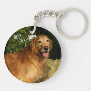 Halètement de golden retriever