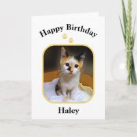 Haley Calico Kitten Happy Birthday