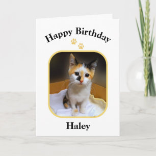 Haley Calico Kitten Happy Birthday Card