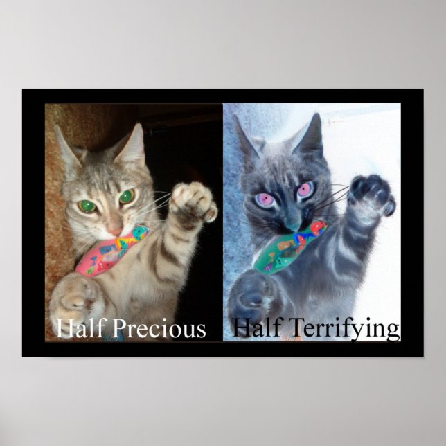 Half and Half  Poster (Front)