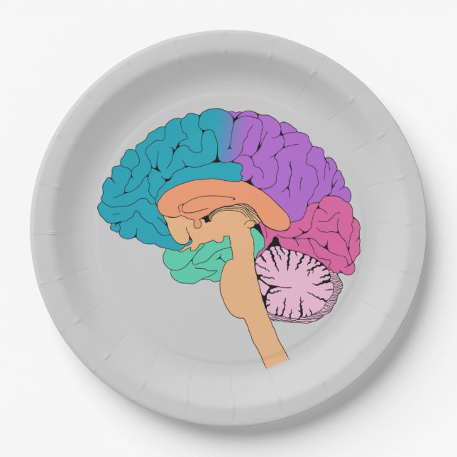 Half Brain Science Paper Plate (Front)