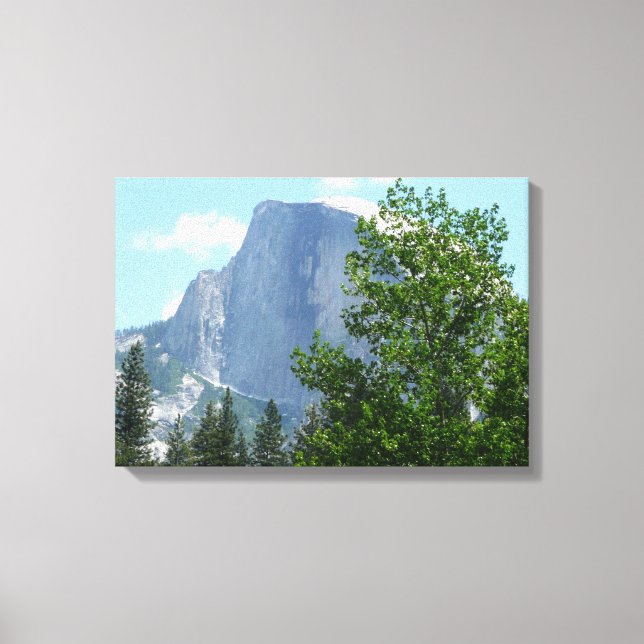Half Dome in Summer from Yosemite National Park Canvas Print (Front)