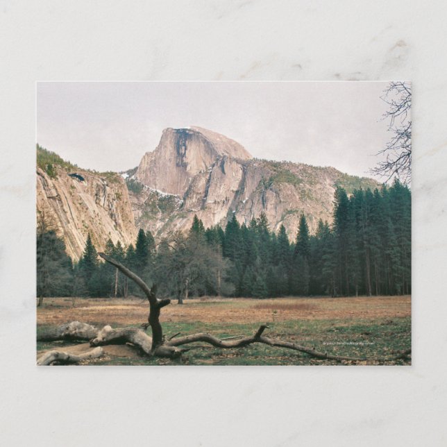 Half Dome Postcard (Front)