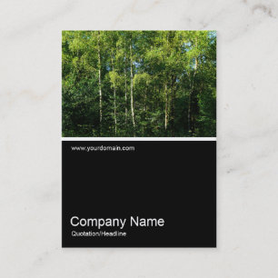 Half&Half Photo 0105 - Silver Birch Trees Business Card