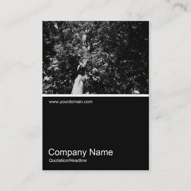 Half&Half Photo 0107 - London Plane Tree Business Card (Front)