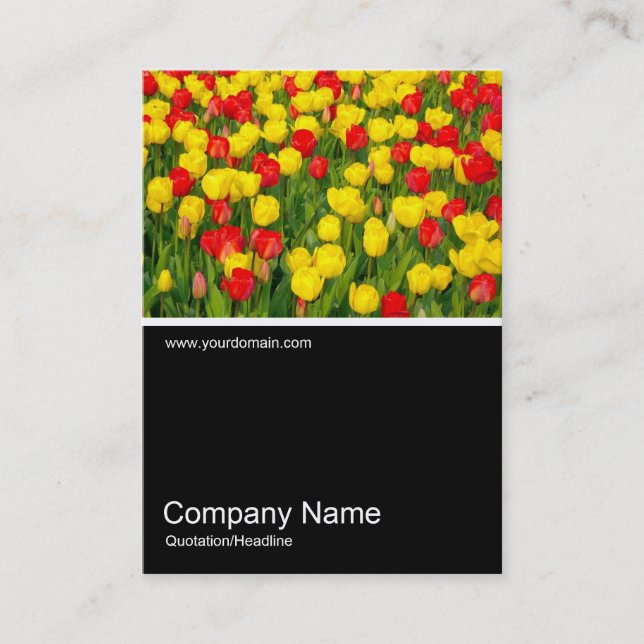 Half&Half Photo 0153 - Colourful Tulips III Business Card (Front)