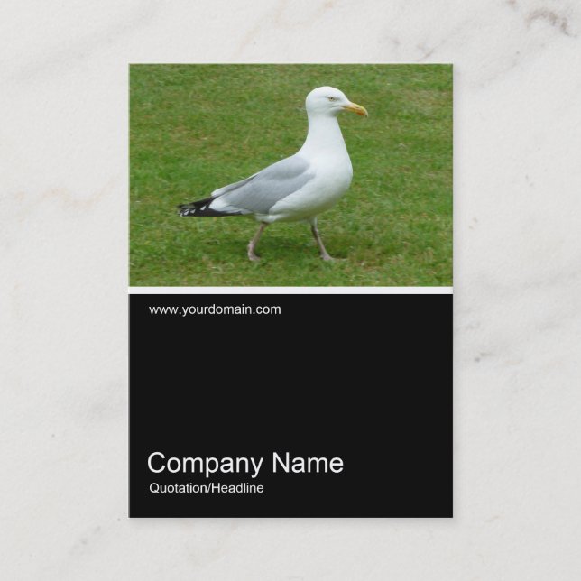 Half&Half Photo 0156 - Seagull walking in the Park Business Card (Front)