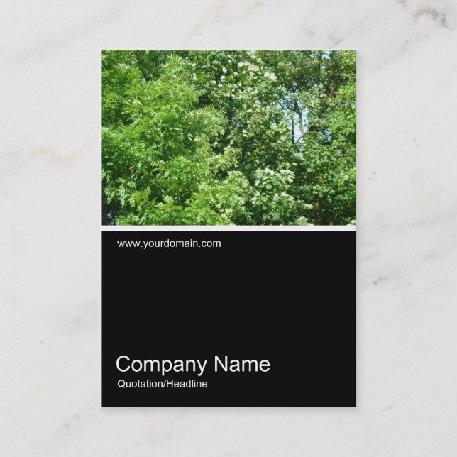 Half&Half Photo 0160 - Summer Breeze Business Card (Front)