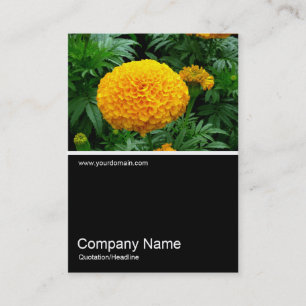 Half&Half Photo 0163 - Orange Chrysanthemum Business Card
