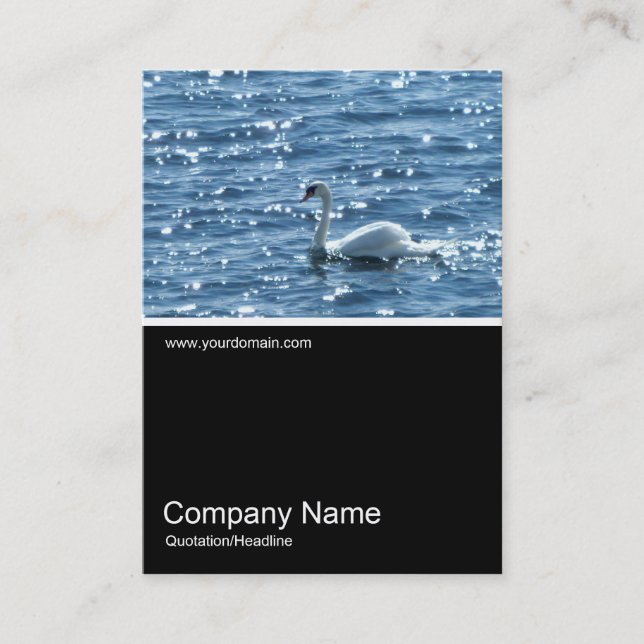 Half&Half Photo 0167 - Swan, Cardiff Bay Business Card (Front)
