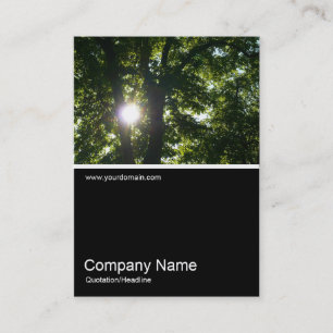 Half&Half Photo 0183 - Sun Through Trees Business Card