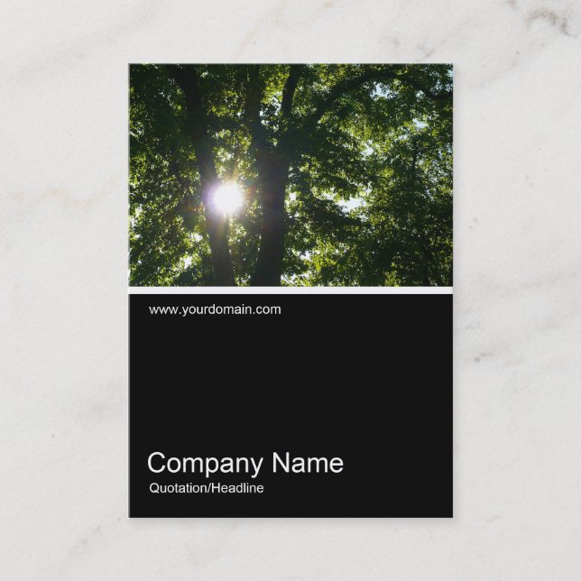 Half&Half Photo 0183 - Sun Through Trees Business Card (Front)