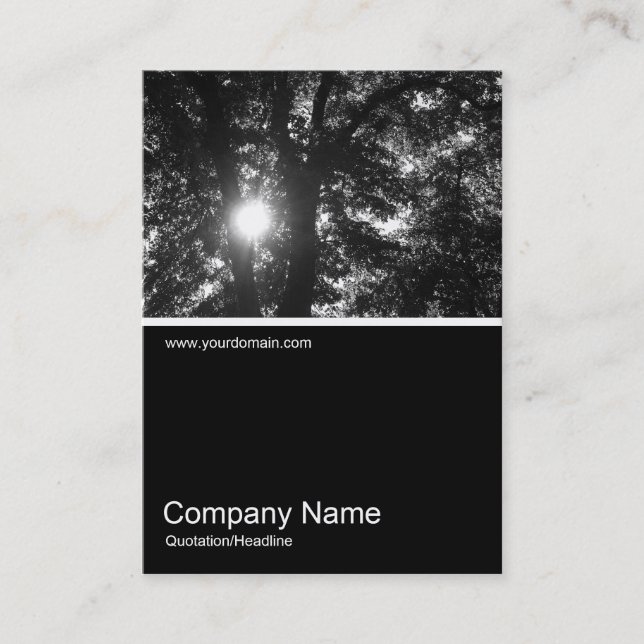 Half&Half Photo 0184 - Sun Through Trees B&W Business Card (Front)