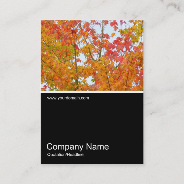 Half&Half Photo 0187 - Autumn Leaves Business Card (Front)