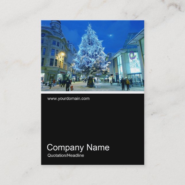 Half&Half Photo 0194 - Snow in Cardiff Business Card (Front)