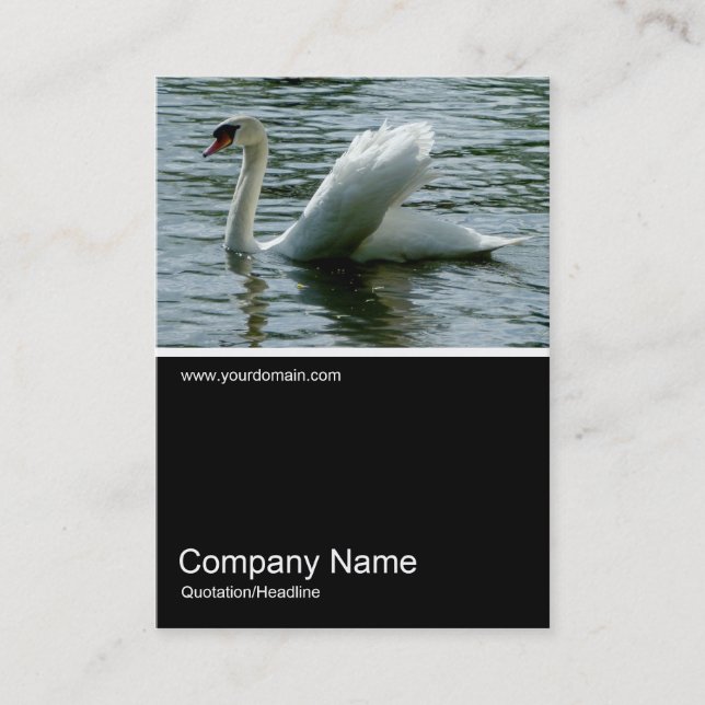 Half&Half Photo 0224 - Swan Business Card (Front)