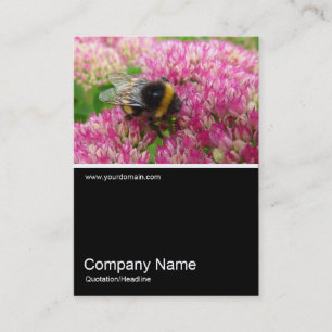 Half&Half Photo 0235 - Bumble Bee on Sedum Business Card