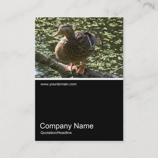 Half&Half Photo 0245 - Happy Duck Business Card (Front)