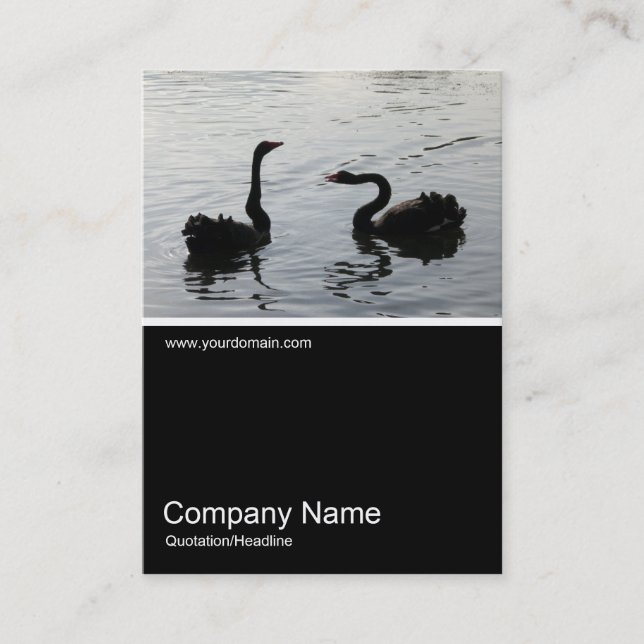 Half&Half Photo 0246 - Black Swans Greeting Business Card (Front)