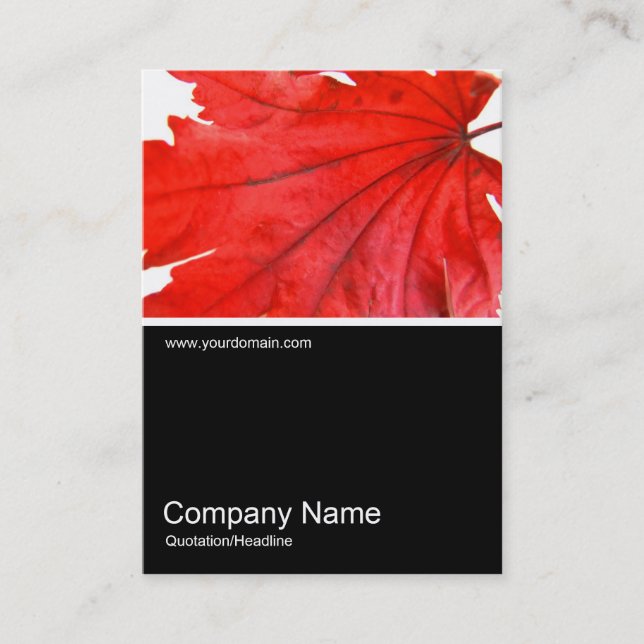 Half&Half Photo 0247 - Japanese Maple Leaf Business Card (Front)