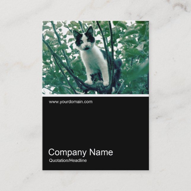 Half&Half Photo 0249 - Superfluity of Naughtiness Business Card (Front)