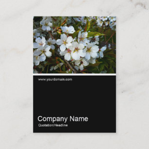 Half&Half Photo 024 - Cherry Blossom Business Card