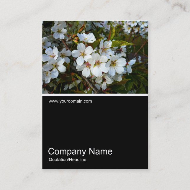 Half&Half Photo 024 - Cherry Blossom Business Card (Front)