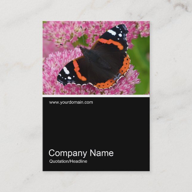 Half&Half Photo 0261 - Red Admiral on Sedum (Autum Business Card (Front)