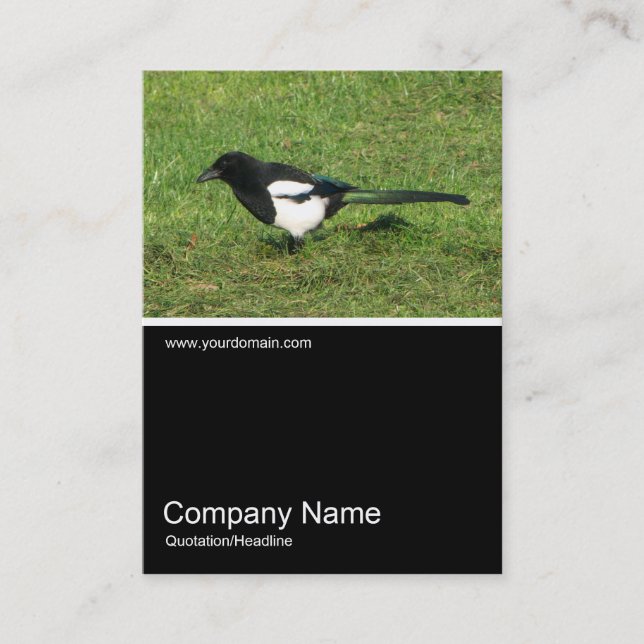 Half&Half Photo 0265 - European Magpie Business Card (Front)