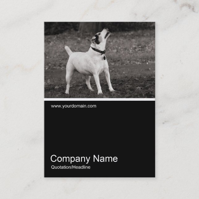 Half&Half Photo 0273 - Dog Agog Business Card (Front)