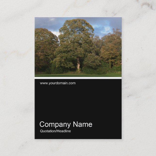 Half&Half Photo 0276 - Autumn in the Park Business Card (Front)