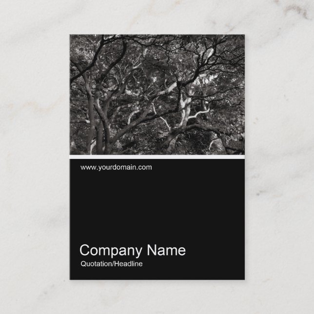 Half&Half Photo 0286 - Japanese Branches 01 Business Card (Front)