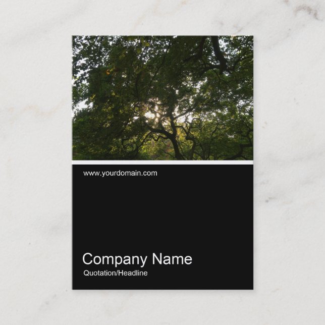 Half&Half Photo 0287 - Japanese Branches 04 Business Card (Front)