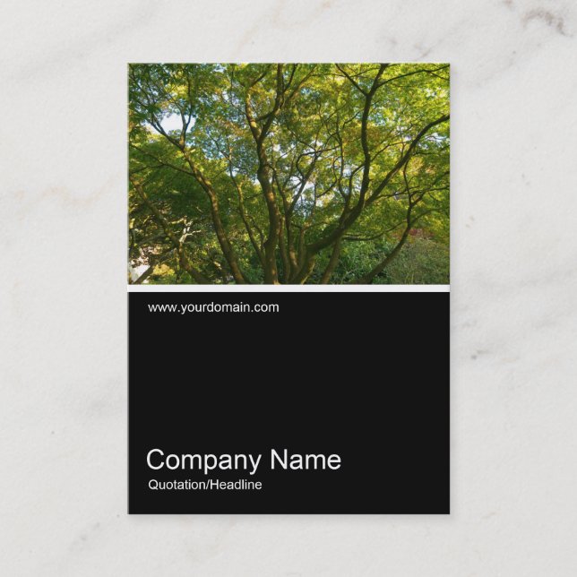 Half&Half Photo 0289 - Japanese Branches 06 Business Card (Front)