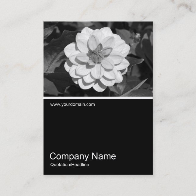 Half&Half Photo 0291 - Dahlia 'David Howard' Business Card (Front)