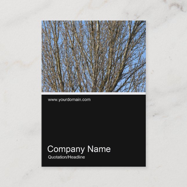 Half&Half Photo 0297 - Sunlit Branches Business Card (Front)