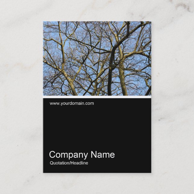Half&Half Photo 0298 - Branches in Warm Sunlight Business Card (Front)