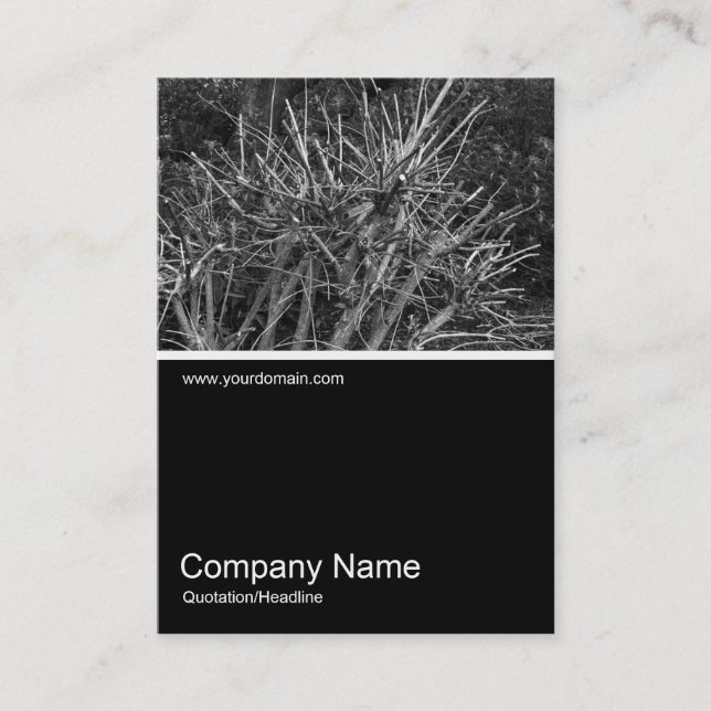 Half&Half Photo 0301 - Pruned Shrub Business Card (Front)