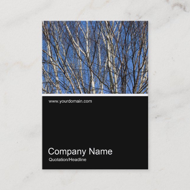 Half&Half Photo 0302 - Silver Birch Branches Business Card (Front)