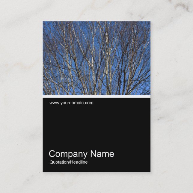 Half&Half Photo 0303 - Silver Birch Branches Business Card (Front)