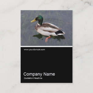 Half&Half Photo 0304 - Mallard Duck Business Card