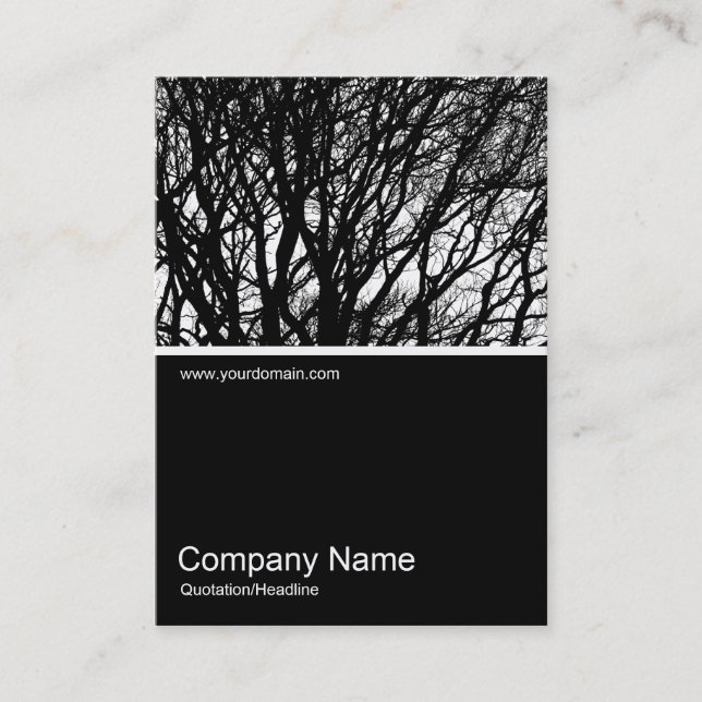 Half&Half Photo 0305 - Winter Branches HC Business Card (Front)