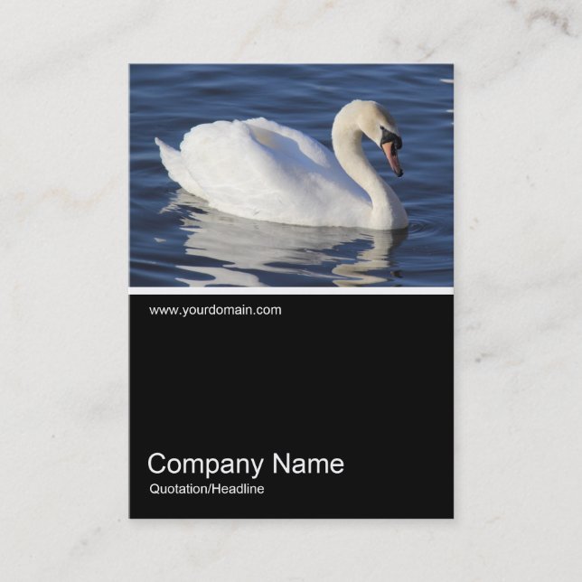 Half&Half Photo 0306 - Mute Swan Business Card (Front)