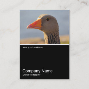 Half&Half Photo 0310 - Inquisitive Goose Business Card