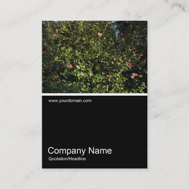 Half&Half Photo 0313 - Camellia Bush Business Card (Front)