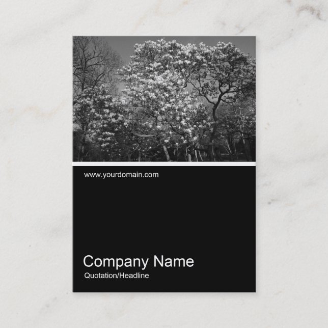 Half&Half Photo 0314 - Magnolia Tree in Blossom Business Card (Front)